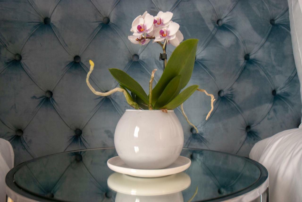 Nouvelle Maison Rome Luxury Palace 罗马 外观 照片